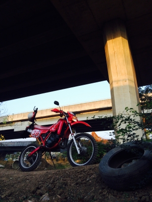 ขออภัย ยกเลิกการขายครับ ขอบคุณพี่เสือและทีมงานครับ