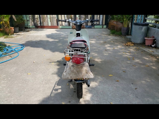 Honda c70ทะเบียนพร้อมโอน Honda c70ทะเบียนพร้อมโอน