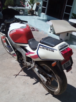 ขายด่วน yamaha fzr 250 ทะเบียนแท้พร้อมโอน 27000 ขายด่วน yamaha fzr 250 ทะเบียนแท้พร้อมโอน 27000