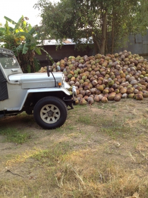 รถจิ๊ปมิตซู  j54  4dr5  รุ่นใหม่ หลังคาผ้าใบนิ่มๆๆ ไม่ขาด ประตูล็อคได้  บอ ดี้สวย  อุปกรณ์ครบ