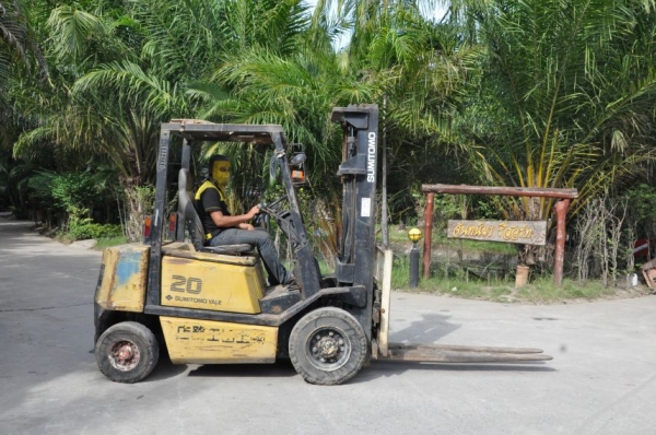(ลดกระหน่ำ)ขายFORKLIFT SUMITOMO FD20(2ตัน) ดีเซล สวยเดิมจากญี่ปุ่น ยังไม่เคยใช้ในไทย 125,000เท่านั้น!!