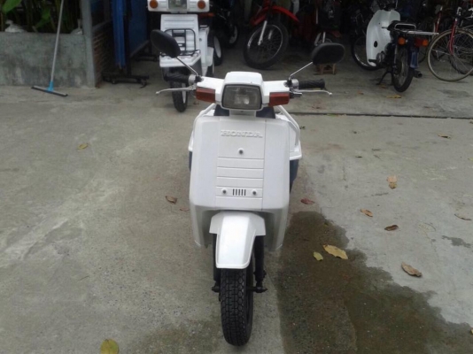 Honda gyro up50ccสตาร์ทมือ มี2คัน Honda gyro up50ccสตาร์ทมือ มี2คัน
