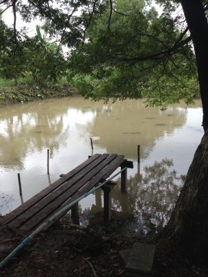 ขายทีพร้อมบ้าน