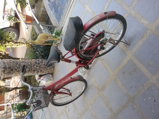 จักรยาน west sun เบอร์ 24