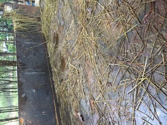 3467ยาง900เครื่องตายครับ6BD1