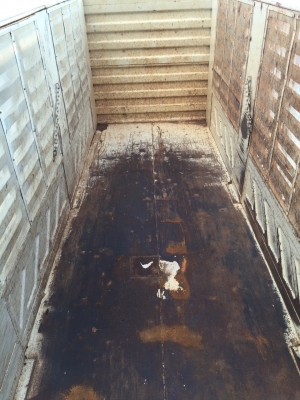 ขายรถ10ล้อ HINO MEGA 2 เพลา ดั๊มเกษตร เครื่อง344แรงม้า ยูโร 3 สนใจติดต่อ089-8914921คุณตุ๊กตา ขายรถ10ล้อ HINO MEGA 2 เพลา ดั๊มเกษตร เครื่อง344แรงม้า ยูโร 3 สนใจติดต่อ089-8914921คุณตุ๊กตา