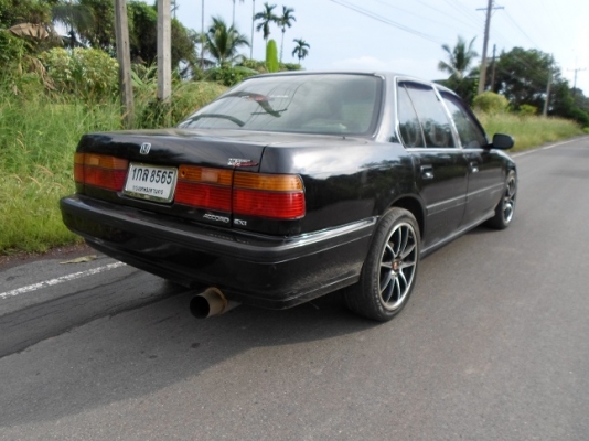 HONDA ACCORD ปี1991 HONDA ACCORD ปี1991