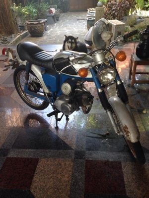 ขาย SUZUKI   AS 50