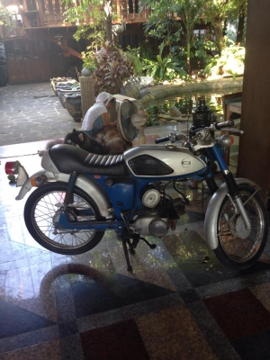 ขาย SUZUKI   AS 50