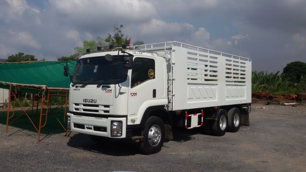 ISUZU- ISUZU-