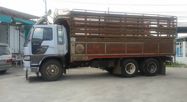 ขาย HINO FL1J ปี 2542 สิบล้อคอกเกษตร เพลาเดียว 210 แรงม้า เครื่องดี คัชซีสวย พร้อมใช้ ราคา 828,000 บาท สนใจสอบถามเพิ่มเติมได้ที่ 081-4825911 คุณพิมพ์ใจ 085-0097969 คุณรุ่ง