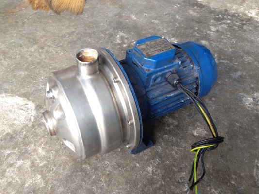 ขายปั้มน้ำหอยโข่ง 2ใบพัด หัวสแตนเลส Stac 1HP. 380V made in Italy สภาพดีเดิมๆวิ่งนิ่ม พร้อมใช้งาน