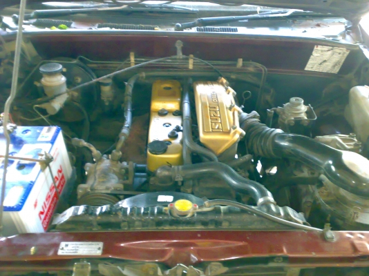 มังกรหัวเดี่ยว NOBOOK