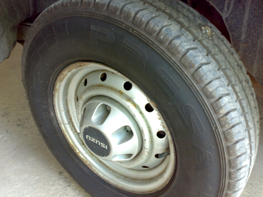 มังกรหัวเดี่ยว NOBOOK