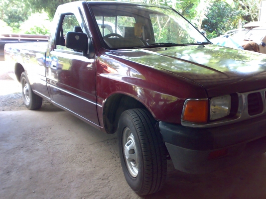 มังกรหัวเดี่ยว NOBOOK