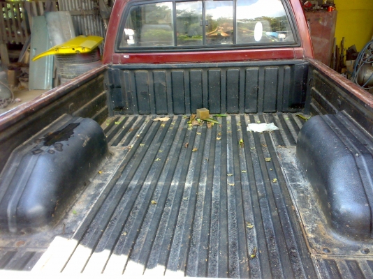 มังกรหัวเดี่ยว NOBOOK