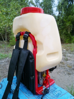 ขอบคุณสำหรับข้าวสวยๆและคำแนะนำดีดี ที่ให้มา