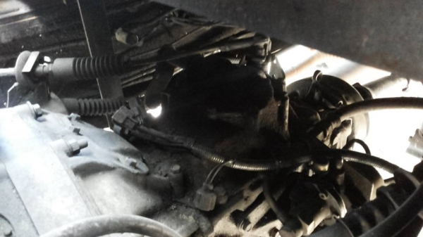 6ล้อดั้มดิน/ดั้มเกษตร MITSU FUSO-195HP เครื่อง/เกียร์/ช่วงล่าง ใหญ่ ดั้มต่อใหม่ สวยๆ **ขาย MITSUBISHI FUSO-195 6ล้อใหญ่ ดั้มดิน/ดั้มเกษตร ดั้มต่อใหม่ สวยสด พร้อมใช้งาน MITSUBISHI FN527M-TG 6D16-195HP 6-SPEED เครื่องเดิม ถอดเทอร์โบ ปั้ 6ล้อดั้มดิน/ดั้มเกษตร MITSU FUSO-195HP เครื่อง/เกียร์/ช่วงล่าง ใหญ่ ดั้มต่อใหม่ สวยๆ **ขาย MITSUBISHI FUSO-195 6ล้อใหญ่ ดั้มดิน/ดั้มเกษตร ดั้มต่อใหม่ สวยสด พร้อมใช้งาน MITSUBISHI FN527M-TG 6D16-195HP 6-SPEED เครื่องเดิม ถอดเทอร์โบ ปั้