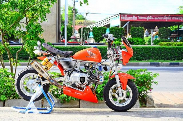 รถต้นแบบ MSX มังกี้ กอลิล่า แต่ง มี100 แบบให้เลือก