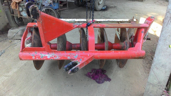 ผานน้องช้างDH225สวยใบเต็ม