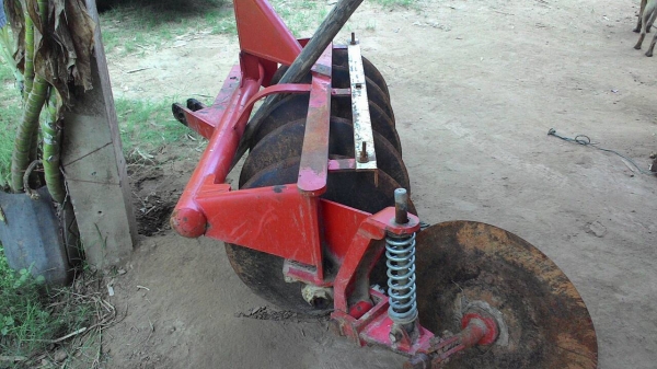 ผานน้องช้างDH225สวยใบเต็ม