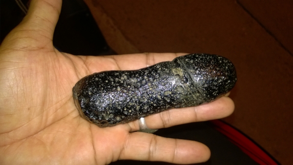 ดาวตก ดาวตก