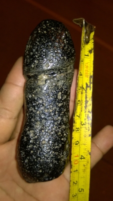 ดาวตก ดาวตก