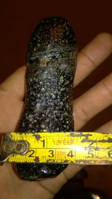 ดาวตก ดาวตก