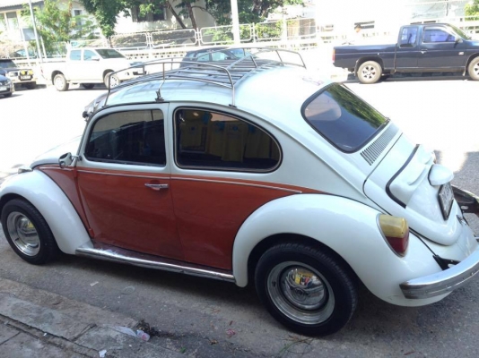 ขายด่วน เต่าปี 68 พร้อมใช้ พร้อมโอน