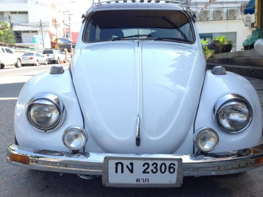 ขายด่วน เต่าปี 68 พร้อมใช้ พร้อมโอน