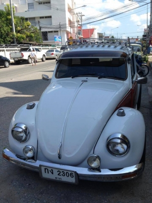 ขายด่วน เต่าปี 68 พร้อมใช้ พร้อมโอน