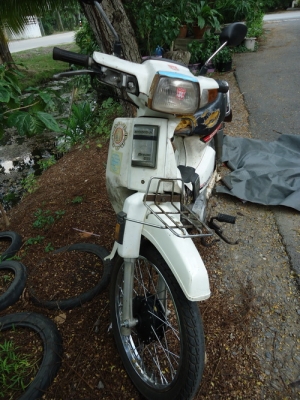 ้Honda dream ปี 31sale 4600.- ้Honda dream ปี 31sale 4600.-