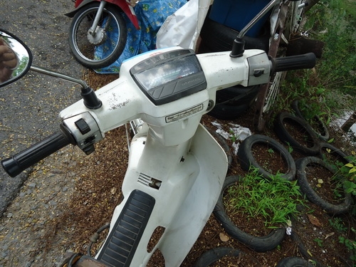 ้Honda dream ปี 31sale 4600.- ้Honda dream ปี 31sale 4600.-