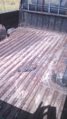 รถกะกะอีชูชุtfr