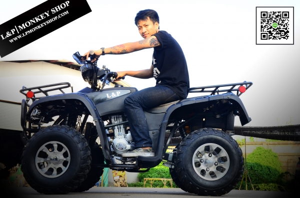 ยิ่งใหญ่ รุ่นใหม่ ขนาด ใหญ่ รุ่นใหม่ล่าสุด ATV HAMMER 250cc หม้อน้ำ