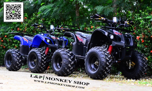 ATV MINI BEAR เครื่องยนต์ 125cc ล้อ8"  รุ่นพิเศษ มีไมล์บอกเกียร์  ฟรีเครื่องเสียงราคา 900 มีรีโมทกันขโมยด้วยค่ะ