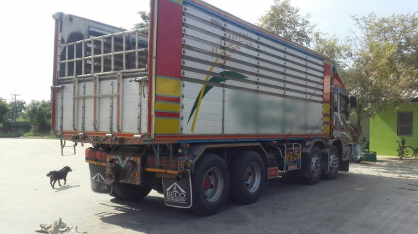 ขายรถพ่วง 24 ล้อ แม่.ลูก กระบะเนียมคอกเกษตรดั้ม HINO PROFIA เครื่อง.K13C-335 แรง รถสวย มี 3 พ่วง ราคา.1700000 ต่อรอง สนใจรีบจองด่วน ขายรถพ่วง 24 ล้อ แม่.ลูก กระบะเนียมคอกเกษตรดั้ม HINO PROFIA เครื่อง.K13C-335 แรง รถสวย มี 3 พ่วง ราคา.1700000 ต่อรอง สนใจรีบจองด่วน