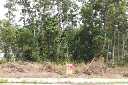 ที่ดินสวยๆ แถวบางน้ำเปรี้ยว ฉะเชิงเทรา