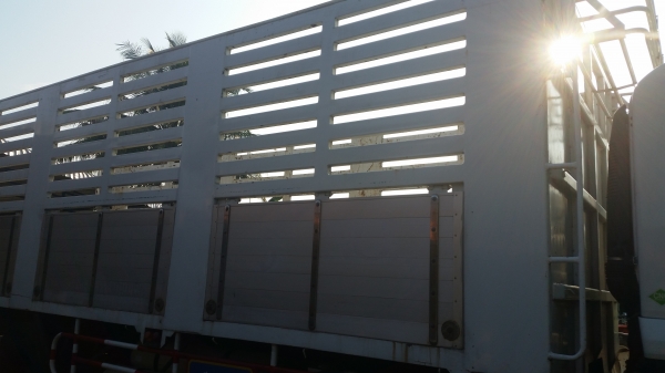 ขายกระบะเหล็ก ยาว 7.50 เมตร ขายกระบะเหล็ก ยาว 7.50 เมตร