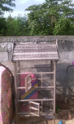 กรงนกงานไม้ กรงนกงานไม้