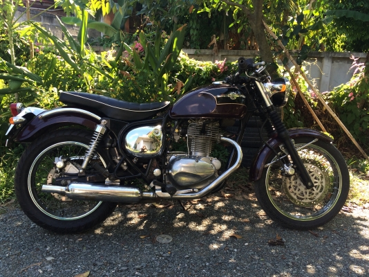 Kawasaki Estrella 250