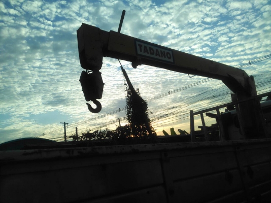 ขาย 325,000บ หกล้อ ฮีโน่ KM 505 WO4D117 เครน TANADO 3 ตัน สภาพดีพร้อม ยาว 5 ม ยางใหม่ทุกเส้น เล่มทะเบียนพร้อมโอน ขาย 325,000บ หกล้อ ฮีโน่ KM 505 WO4D117 เครน TANADO 3 ตัน สภาพดีพร้อม ยาว 5 ม ยางใหม่ทุกเส้น เล่มทะเบียนพร้อมโอน