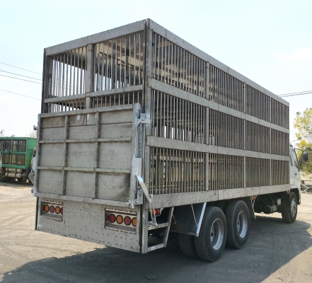 รับต่อรถบรรทุกสุกรแบบมีลิฟต์ขึ้นลง 2-3 ชั้น