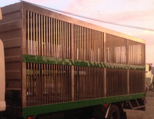 รับต่อรถบรรทุกสุกรแบบมีลิฟต์ขึ้นลง 2-3 ชั้น