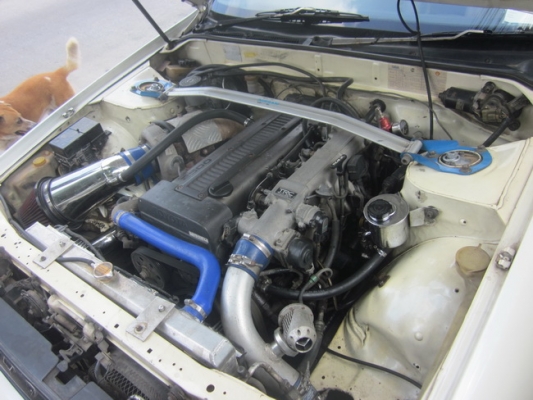 เซฟิโร เจโบเกียร์ธรรมดา เซฟิโร เจโบเกียร์ธรรมดา