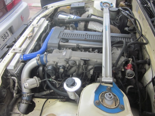 เซฟิโร เจโบเกียร์ธรรมดา เซฟิโร เจโบเกียร์ธรรมดา