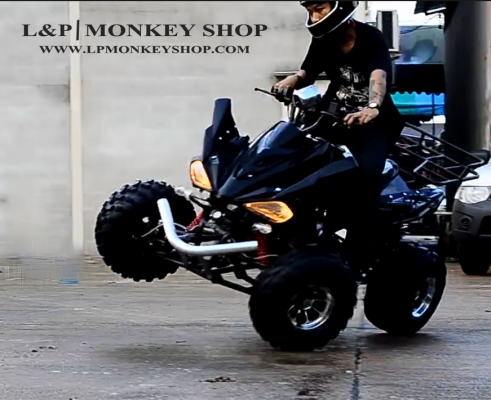 เอทีวีมาใหม่ล่าสุด SPORT VIP  3ล้อ 4ล้อ 125 / 250 cc แต่งล้อแม๊ก และ ล้อกะทะ ราคา พิเศษ สนใจ สอบถามได้ค่ะ