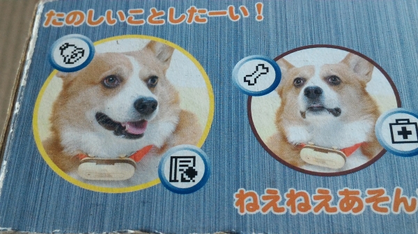 เครื่องมือสือสารระหว่างคนกับสุนักที่เสี้ยง ทำการสือบอกความรู้สึกของสุนักด้วยรูปภาพ