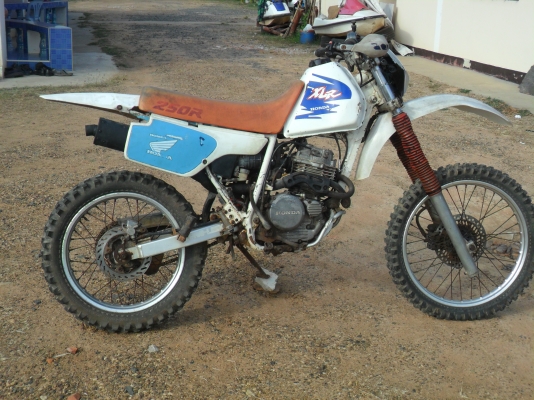 ขออนุญาติขาย XLR 250 อินวอยส์แท้ 29,500 ขออนุญาติขาย XLR 250 อินวอยส์แท้ 29,500