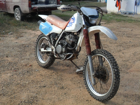 ขออนุญาติขาย  XLR 250  อินวอยส์แท้             29,500